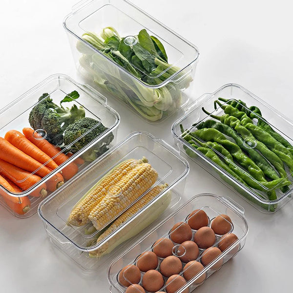 Storage - High Transparency Storage Box with Lid (33.5 x 16.5 x 10cm)